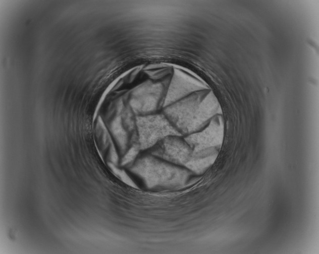 X0000090970048200708301236