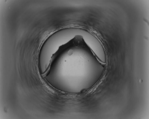 X0000090970049200708301235