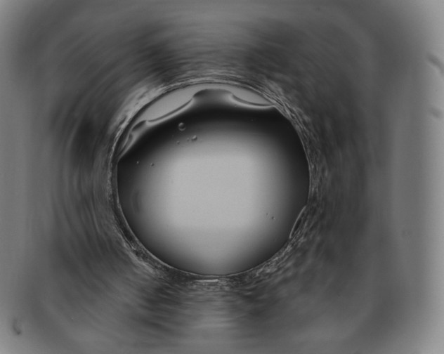 X0000090970050200708301235