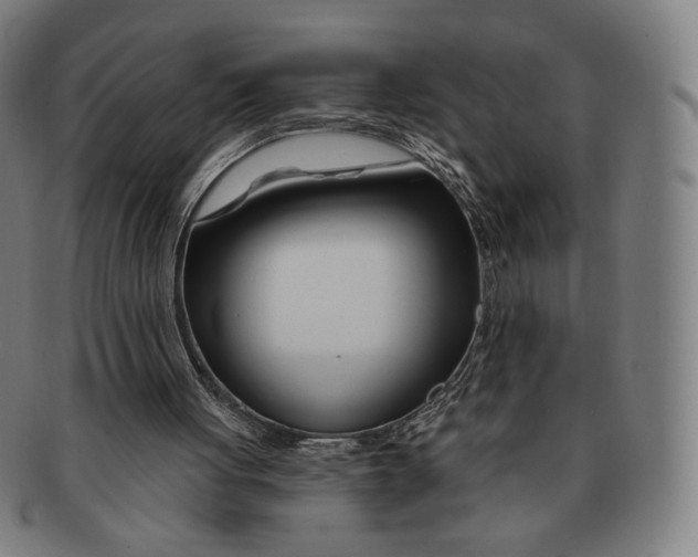 X0000090970051200708301235