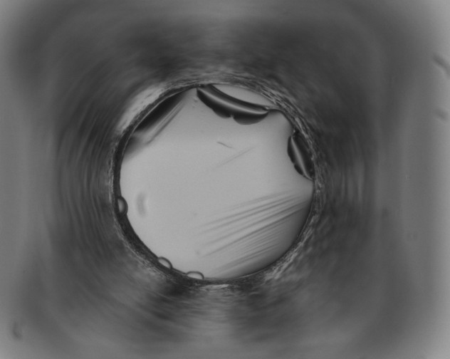 X0000090970054200708301235