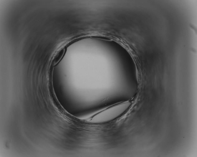 X0000090970055200708301235
