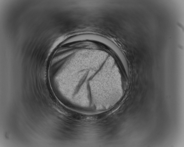 X0000090970056200708301235