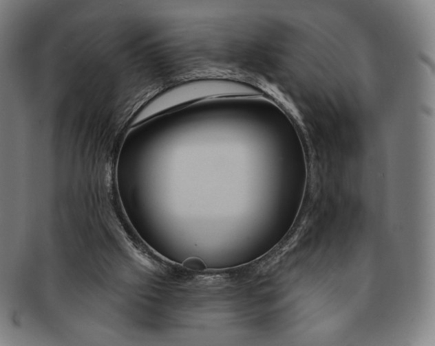 X0000090970057200708301235