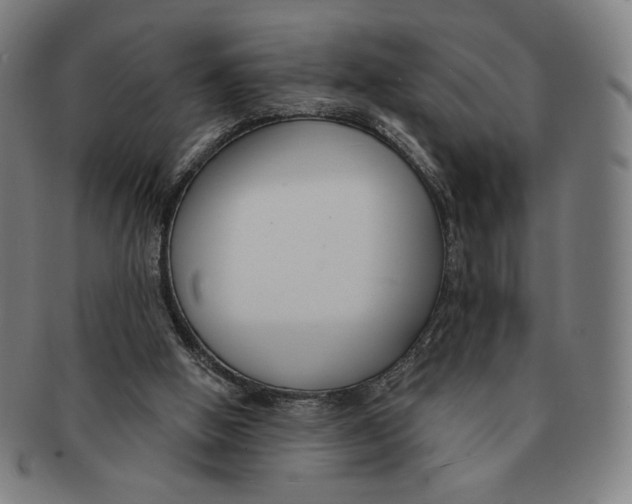 X0000090970058200708301235