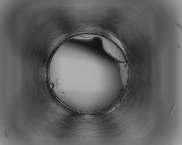 X0000090970059200708301235