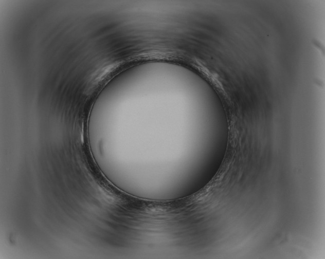 X0000090970062200708301235