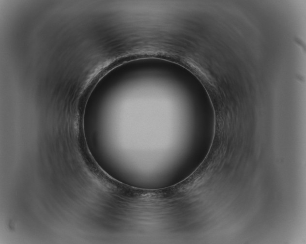 X0000090970064200708301235