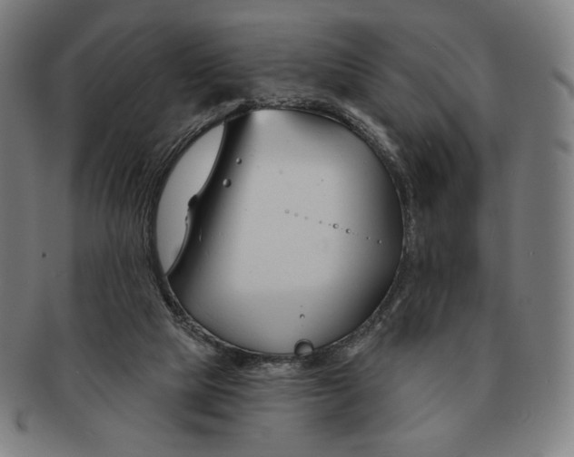 X0000090970065200708301235
