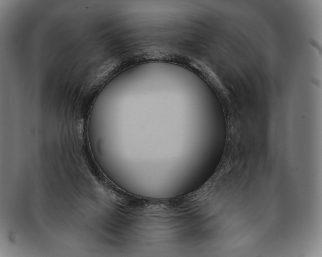 X0000090970066200708301235