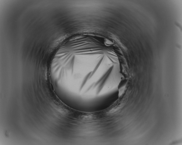 X0000090970068200708301235