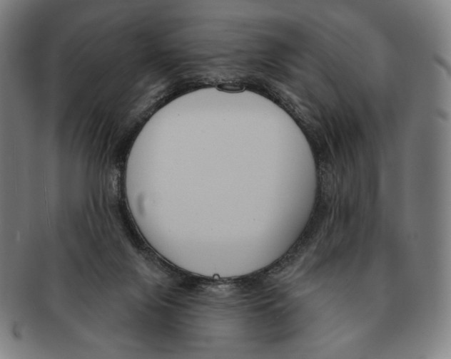 X0000090970071200708301236