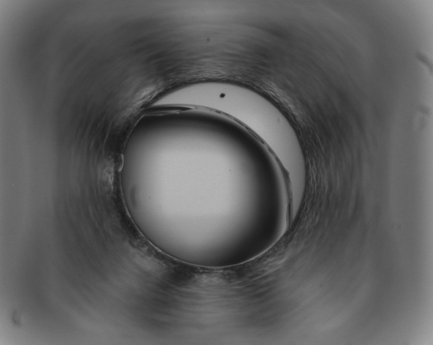 X0000090970072200708301236