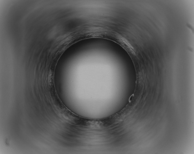 X0000090970073200708301236