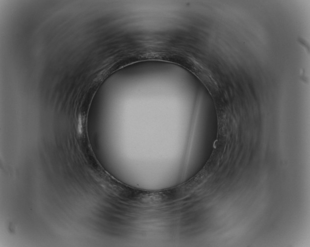 X0000090970075200708301236