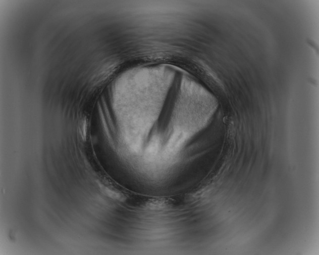 X0000090970076200708301236