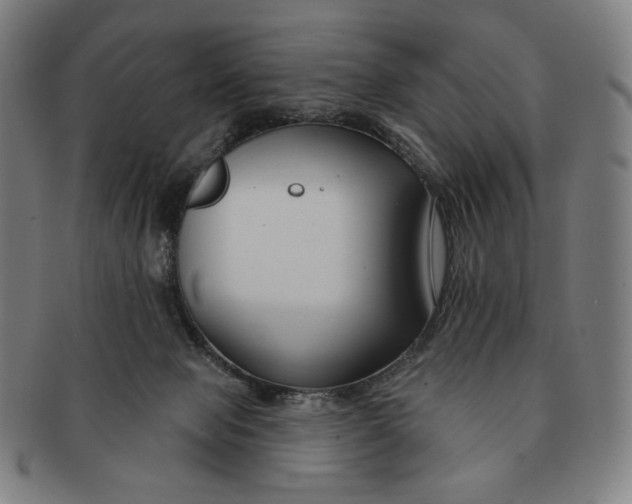 X0000090970077200708301236