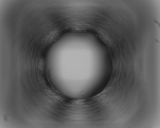 X0000090970078200708301236