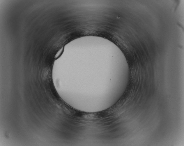X0000090970079200708301236