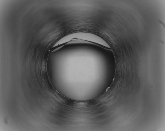 X0000090970081200708301236