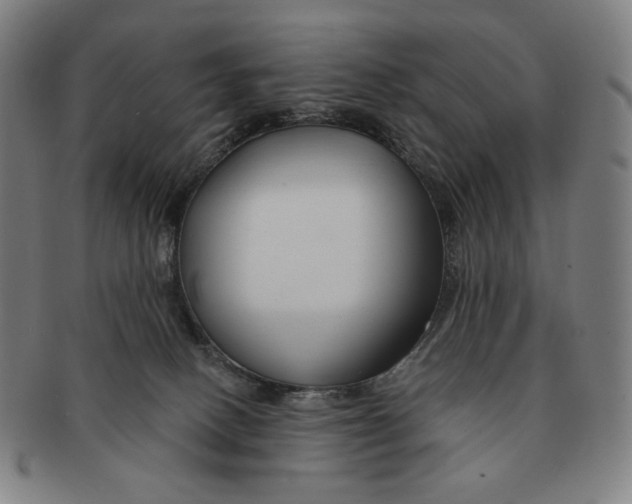 X0000090970082200708301236