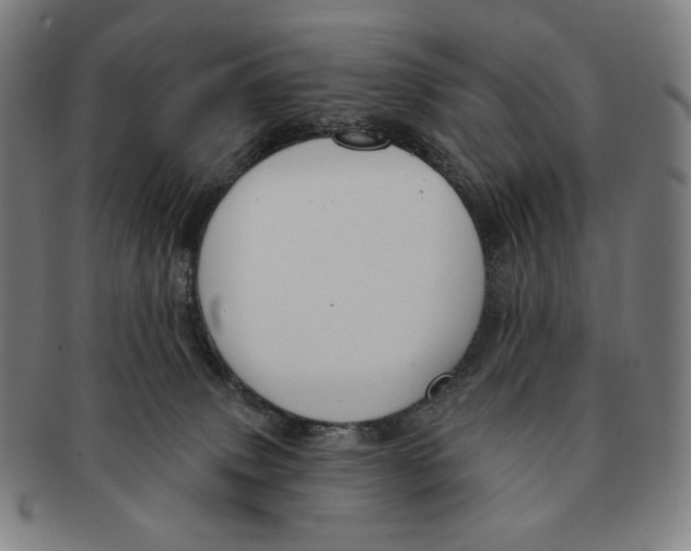 X0000090970083200708301236
