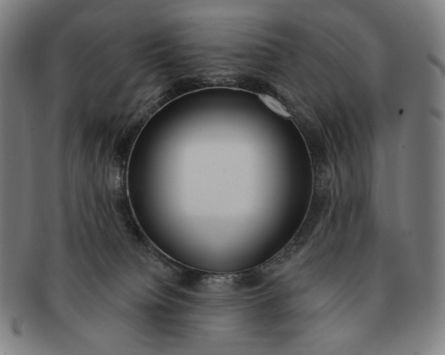 X0000090970084200708301236