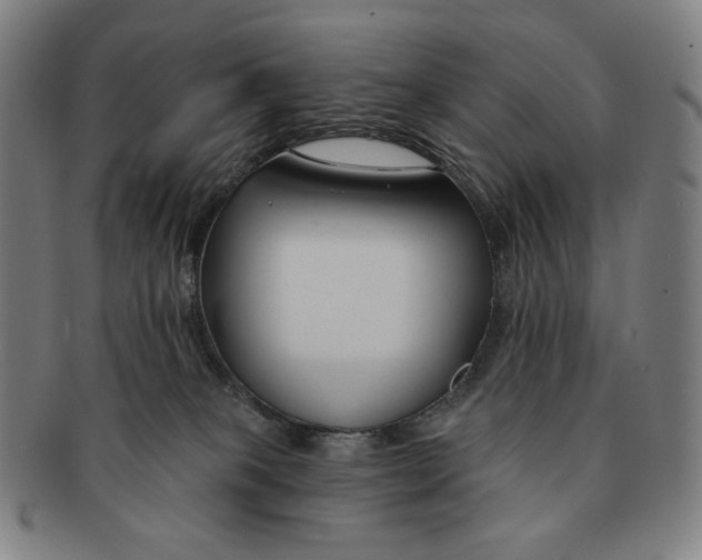 X0000090970085200708301236