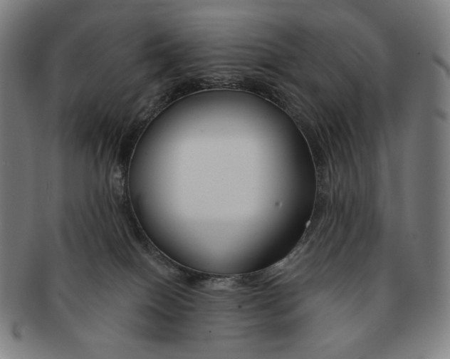 X0000090970086200708301236