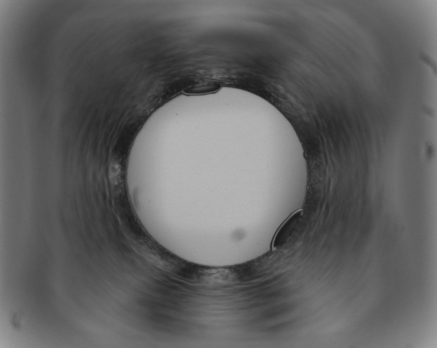 X0000090970087200708301236