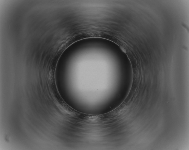 X0000090970088200708301236