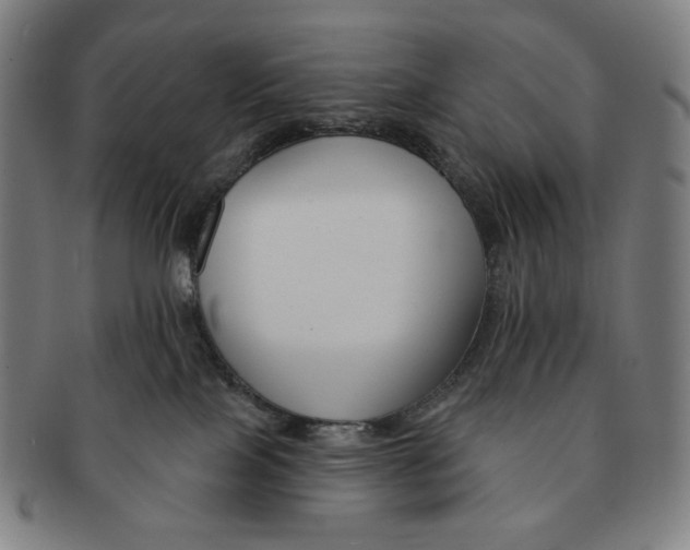 X0000090970089200708301236