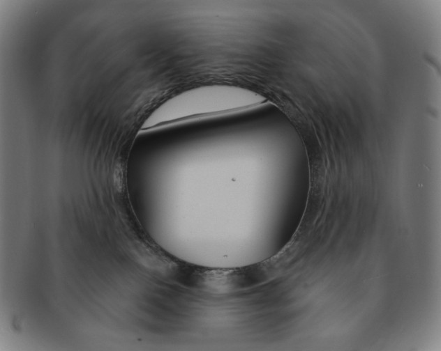 X0000090970090200708301236