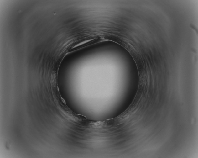 X0000090970092200708301236