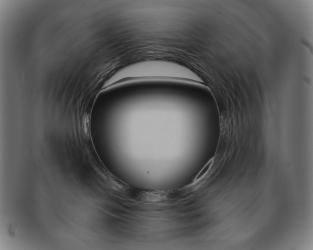 X0000090970094200708301236