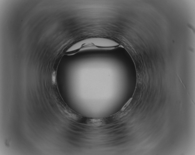 X0000090970095200708301236
