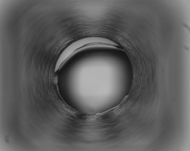 X0000090970096200708301236