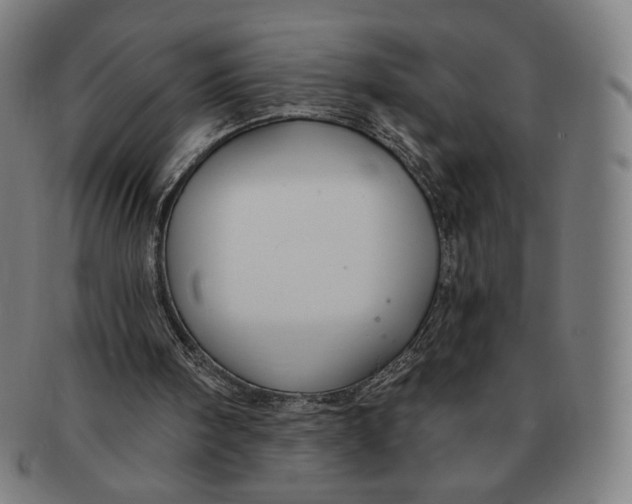 X0000090970098200708301235