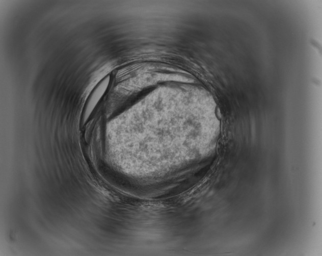 X0000090970099200708301235