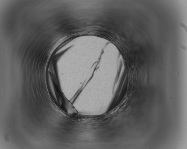 X0000090970100200708301235