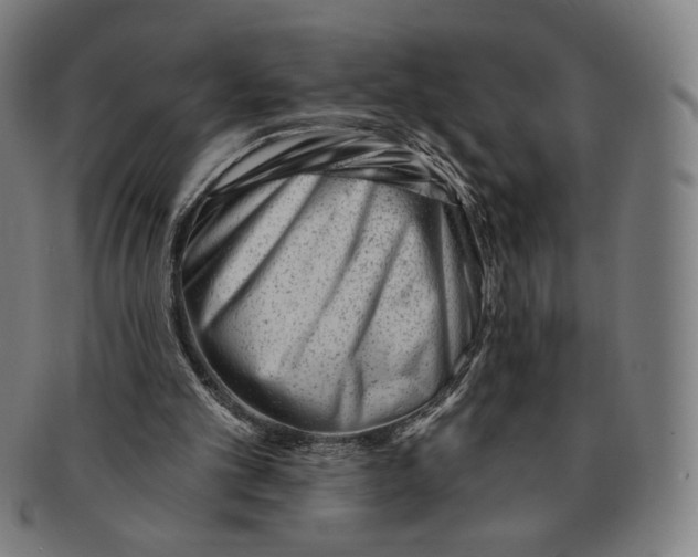 X0000090970101200708301235