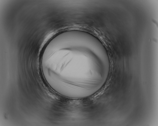 X0000090970102200708301235