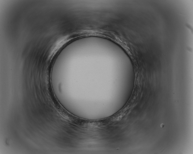 X0000090970103200708301235