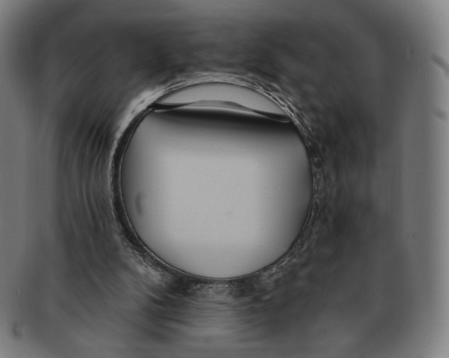 X0000090970104200708301235