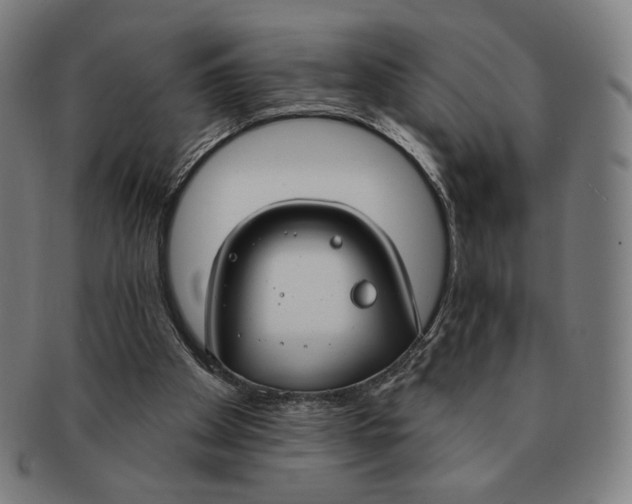 X0000090970105200708301235