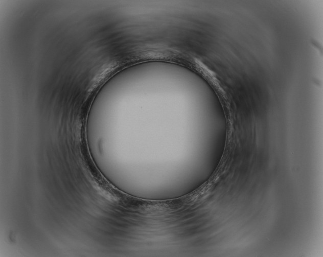 X0000090970106200708301235