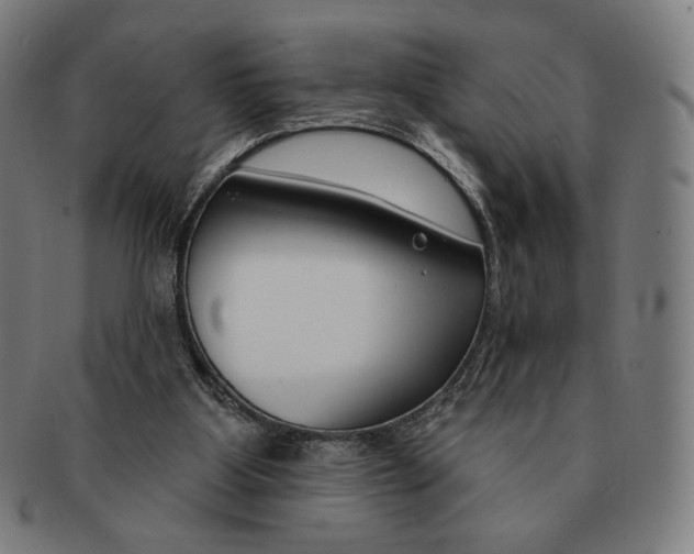 X0000090970107200708301235