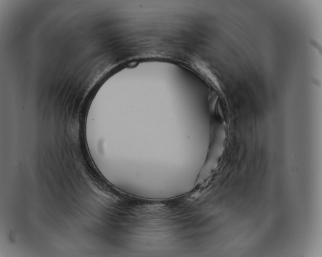 X0000090970108200708301235