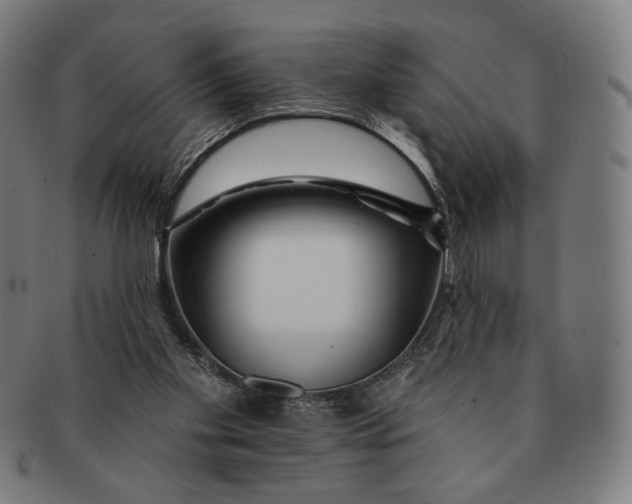 X0000090970109200708301235