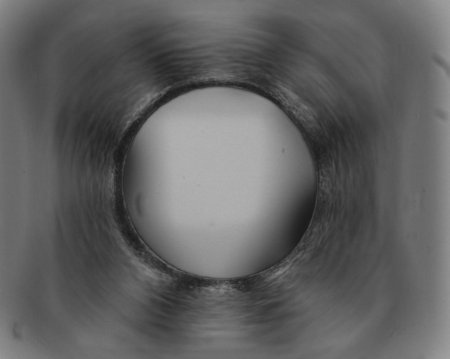 X0000090970112200708301235
